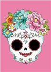 (image for) Sugar Skull Pink
